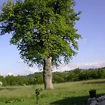 Venkovský dům Antica Dimora *
