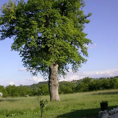 Casa di campagna Antica Dimora *