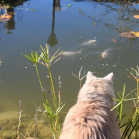 Antica Dimora * 사르나노