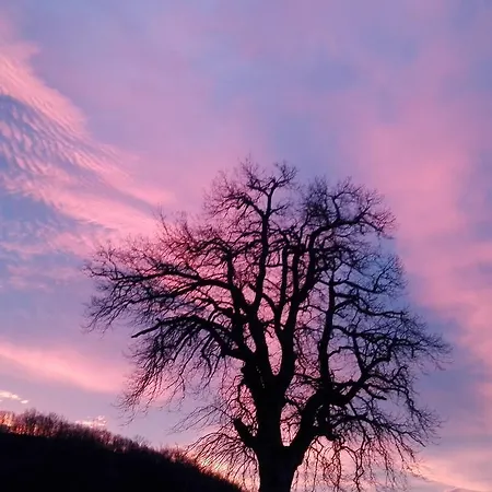 Antica Dimora * Sarnano